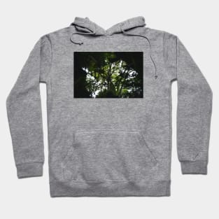 Kaleidoscope Diary Into The Woods Hoodie